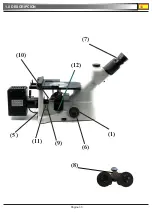 Preview for 33 page of OPTIKA MICROSCOPES XDS-3 MET Operation Manual