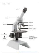 Preview for 30 page of Optika B-20CR Instruction Manual