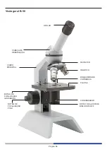 Preview for 66 page of Optika B-20CR Instruction Manual