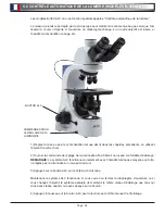 Preview for 34 page of Optika B-380 Series Operation Manual