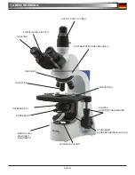 Preview for 51 page of Optika B-380 Series Operation Manual