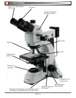 Preview for 16 page of Optika B-500 MET Operation Manual