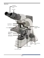 Preview for 5 page of Optika B-500ASB Instruction Manual