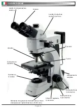 Preview for 14 page of Optika B-600 MET Operation Manual