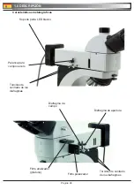 Preview for 26 page of Optika B-600 MET Operation Manual