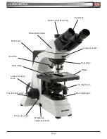 Preview for 3 page of Optika B-600 Operation Manuals