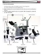 Preview for 7 page of Optika XDS-3 Operation Manual