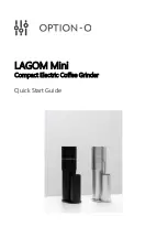 OPTION-O LAGOM Mini Quick Start Manual предпросмотр