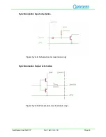 Preview for 25 page of Optronis CamRecord CL4000CXP User Manual