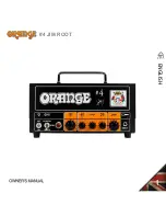 ORANGE 4 JIM ROOT Owner'S Manual preview