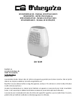 Orbegozo DH 1039 Instruction Manual preview