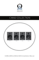 Предварительный просмотр 1 страницы Origin Acoustics CIW60 Series Installation Manual