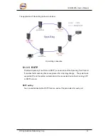 Предварительный просмотр 25 страницы ORiNG IES-2042PA User Manual