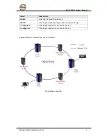 Preview for 37 page of ORiNG IES-3162GC Series User Manual