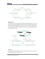 Предварительный просмотр 17 страницы ORiNG RGPS-92222GCP-NP User Manual