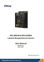 Предварительный просмотр 1 страницы ORiNG TES-3080-M12 Series User Manual