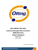 Предварительный просмотр 1 страницы ORiNG TES-3082GT-M12-BP1 User Manual