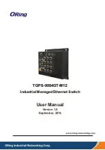 ORiNG TGPS-9084GT-M12 User Manual предпросмотр