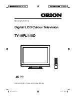 Orion TV19PL110D A Operating Instructions Manual preview