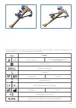 Предварительный просмотр 31 страницы Orthofix Galaxy-TL-HEX Manual