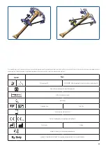 Предварительный просмотр 46 страницы Orthofix Galaxy-TL-HEX Manual