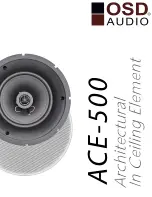 Предварительный просмотр 1 страницы OSD Audio ACE-500 Owner'S Manual