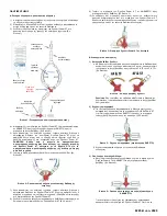 Предварительный просмотр 26 страницы Osprey Medical DyeVert Power XT Instructions For Use Manual