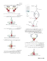 Предварительный просмотр 62 страницы Osprey Medical DyeVert Power XT Instructions For Use Manual