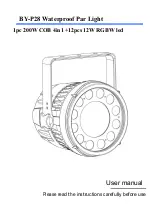 Osram BY-P28 User Manual preview