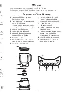 Предварительный просмотр 3 страницы Oster BLSTDG User Manual