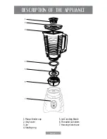 Предварительный просмотр 4 страницы Osterizer 250-22 Instruction Manual