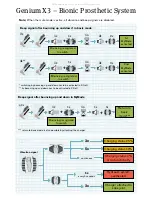 Предварительный просмотр 2 страницы Otto Bock 3B5-X3-ST Information And Safety Signals