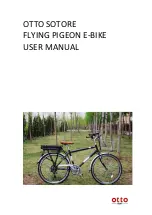 Preview for 1 page of Otto FLYING PIGEON User Manual