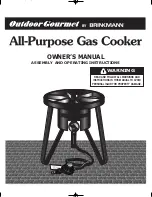 Outdoor Gourmet 815-3880-0 Owner'S Manual preview