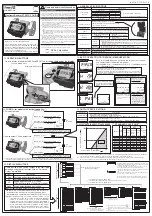 Oval Flowpet-5G Series Startup Manual preview