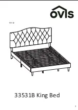 OVIS 33531B Manual preview