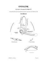 Ovislink OVHS084-PS2 User Manual предпросмотр