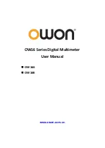 Owon OW16 Series User Manual preview