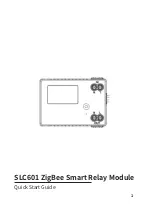 Предварительный просмотр 1 страницы Owon SLC601 Quick Start Manual