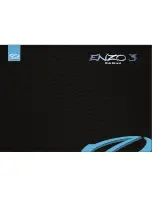 Ozone Enzo 3 Pilot'S Manual preview