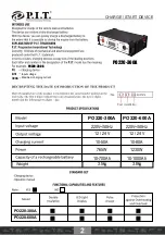 Preview for 3 page of P.I.T. PO220-300A User Manual