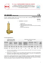 PA VB 200 Quick Start Manual предпросмотр