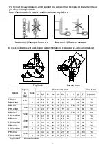 Preview for 17 page of Pacific Hoists PEH050NH Operation Manual