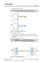 Предварительный просмотр 14 страницы PacketLight Networks PL-300 Installation And Configuration Manual