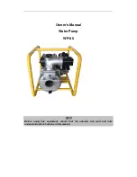 PACLITE Equipment WP-80 Owner'S Manual preview