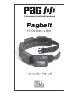 PAG pagbelt Instruction Manual preview