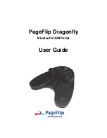 PageFlip Dragonfly User Manual preview