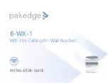 Pakedge B-WX-1 Installation Manual preview