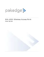 Pakedge WA-4200 User Manual preview