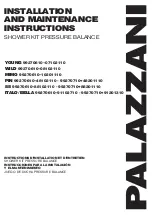 PALAZZANI YOUNG 99270610+07102110 Installation And Maintenance Instructions Manual preview